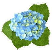 Beverly Keenan's photo