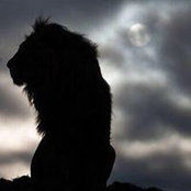 Miguel Leon's photo