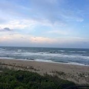 Lance Owens's photo