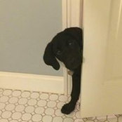 Amy Crubaugh Schrank's photo