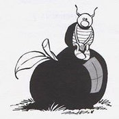 Arnaud Pigounides's photo