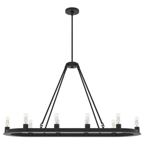 Hunter Saddlewood Natural Iron 10 Light Chandelier Ceiling Light Fixture