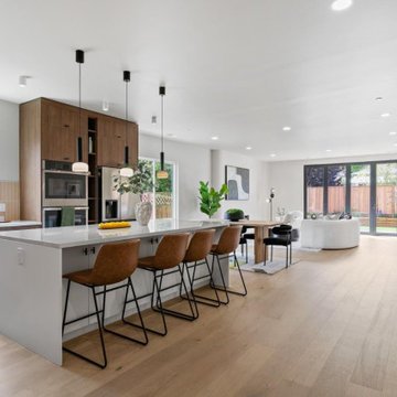 Belmont-Budget-Friendly House Renovation