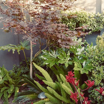 Willowhaven Cozy Oasis