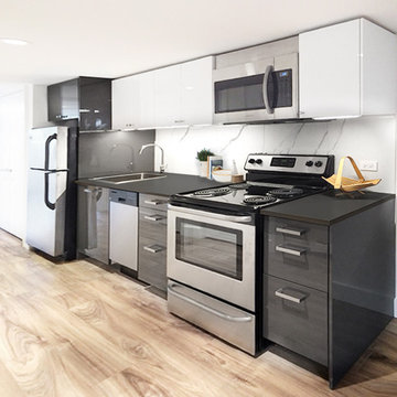 Roncy Basement Reno