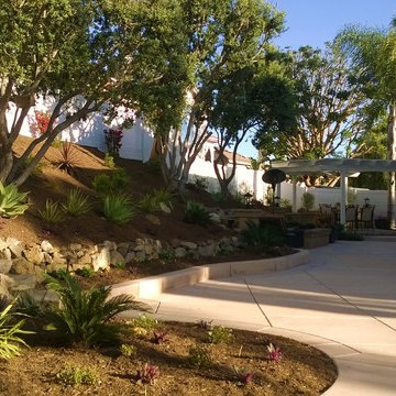 Carlsbad Bocce Ball and Kurapia Lawn