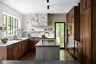 Inspiration for a transitional kitchen remodel in DC Metro
