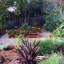 Garden Area