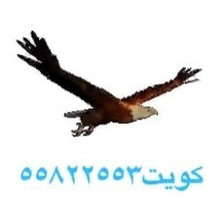 تعارف