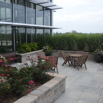 Healing Garden