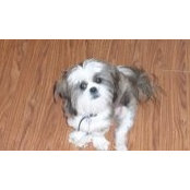 Norma Finch's photo