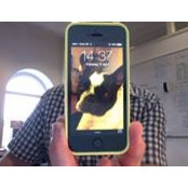 Steve Marshall's photo