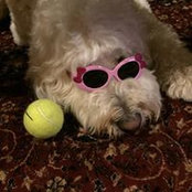 Nancy Taflin-Frederick's photo