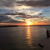 Cynthia Kelley's photo