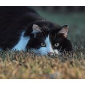 Paula Sutton's photo