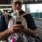 Scott Peppleさんの写真