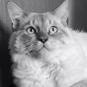 Qba Crosswski's photo