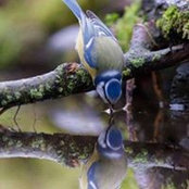 Deb Smrekar's photo