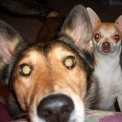 Mary Peeples's photo
