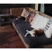 Danielle Holt's photo
