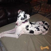 Judy Jones's photo