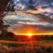 Donna N Ronny Pitman's photo