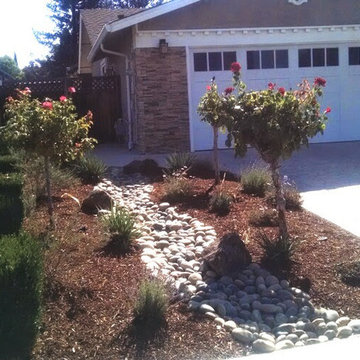 Front Yards