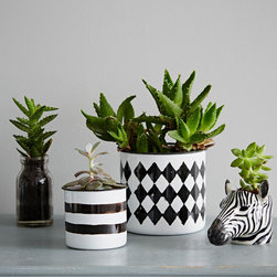 Monochrome Planters - Indoor Pots & Planters