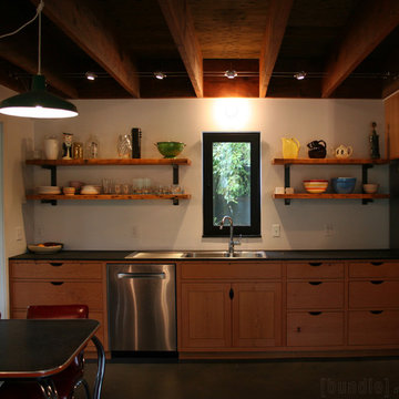 Birch Case Study House
