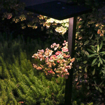 Path Light