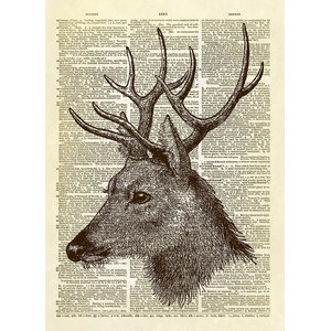 Vintage Dictionary Deer Forest Picture Print Page Art On Book FRAMED 