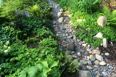 Whidbey Island Native Plant Garden