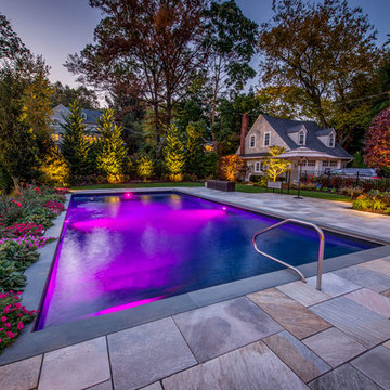 Contemporary Backyard - Montclair, NJ