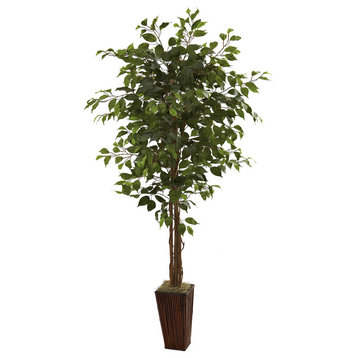 6' Ficus Tree With Bamboo Planter