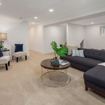 Bonus Room or Media Room
