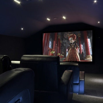 12 seater cinema