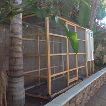 Chicken Coop