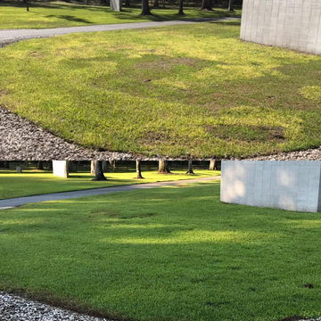 Lawn Health Program Results