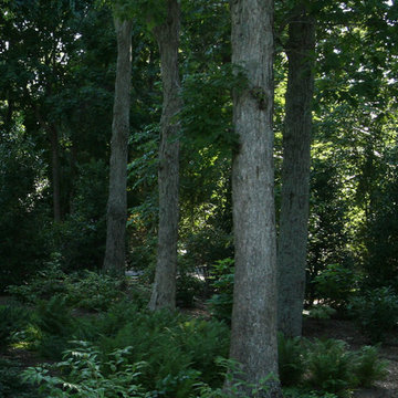 Natural gardens