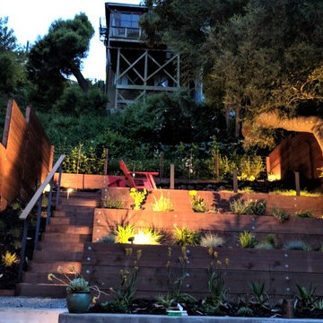 Low Voltage LED's Illuminate Drought Tolerant Planting