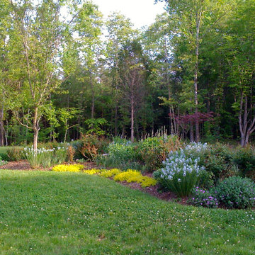 Green Springs: Growing a New Old Garden