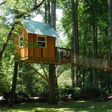 Our Classical Treehouse - A beauty in the tree