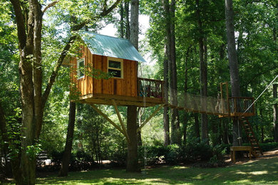 Our Classical Treehouse - A beauty in the tree