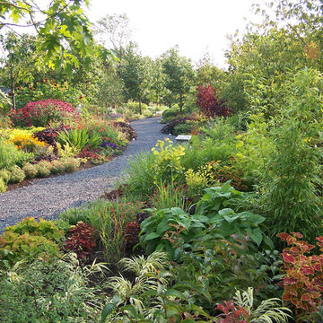 Deer Resistant Garden