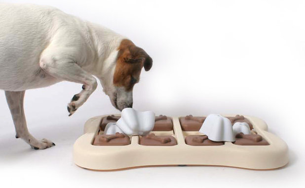 Contemporary Dog Toys by Muttropolis