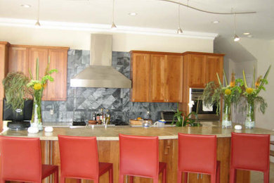 Kitchen - contemporary kitchen idea in Minneapolis