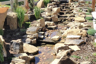 Photo of a rustic landscaping in Denver.