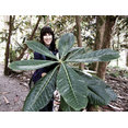 Bridget Robinson Landscape Design's profile photo
