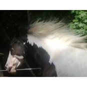Foto von Darlene Ray