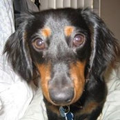 Chris McAndrew's photo
